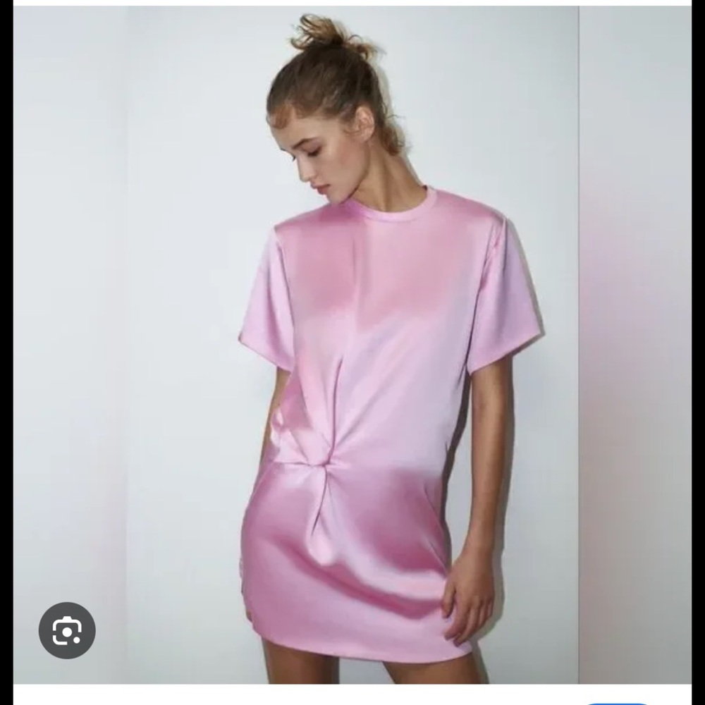 Zara Pink Short Sleeve Dress